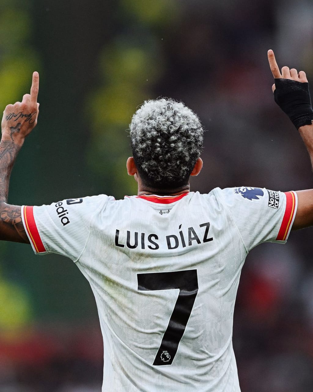 Luiz Diaz